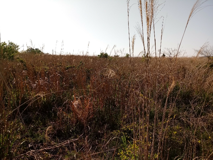 경매 물건 상세 사진