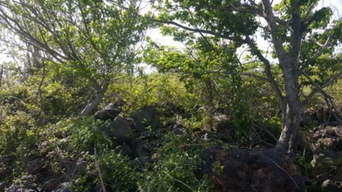 경매 물건 사진