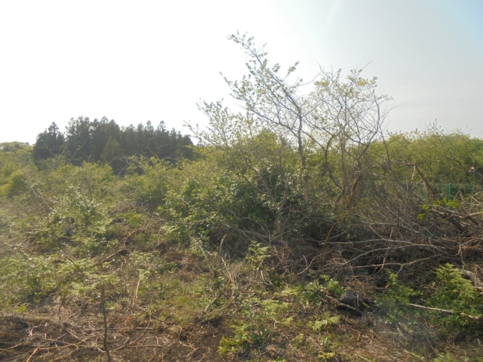 경매 물건 상세 사진