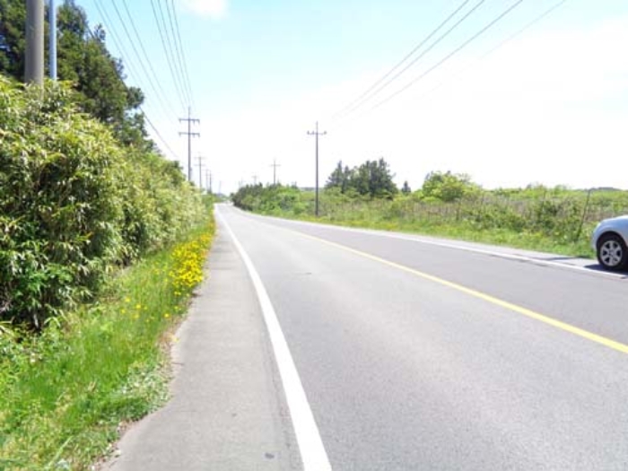 제주 세화리 임야 …