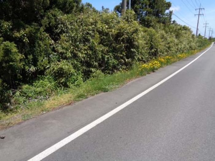 경매 물건 상세 사진