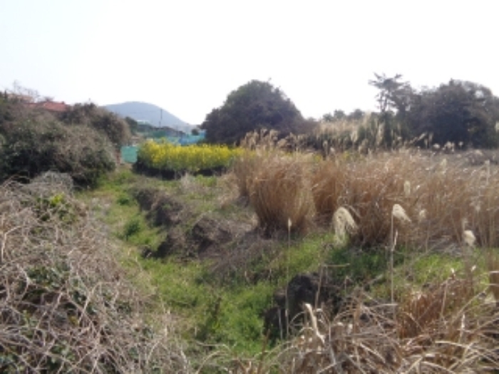 경매 물건 사진