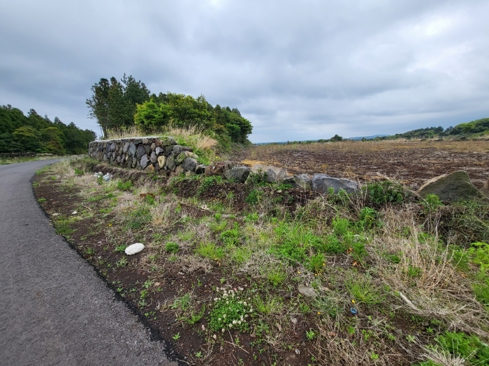 경매 물건 상세 사진
