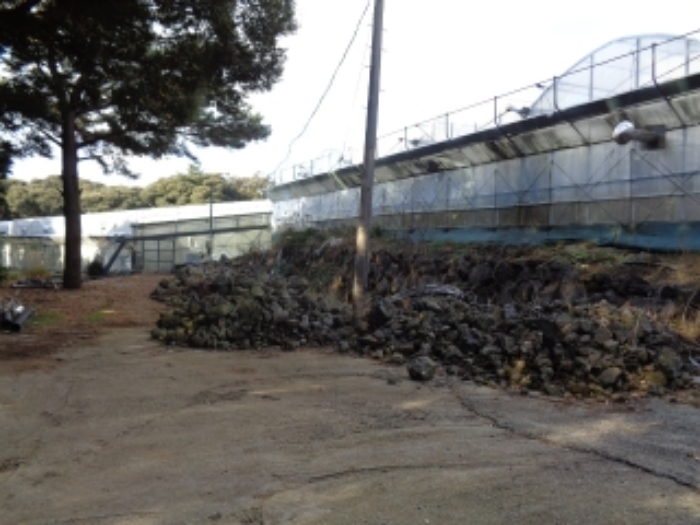 경매 물건 사진