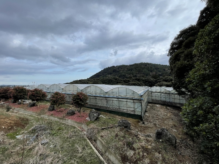 경매 물건 상세 사진