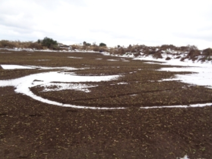 경매 물건 사진