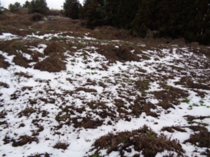 경매 물건 상세 사진