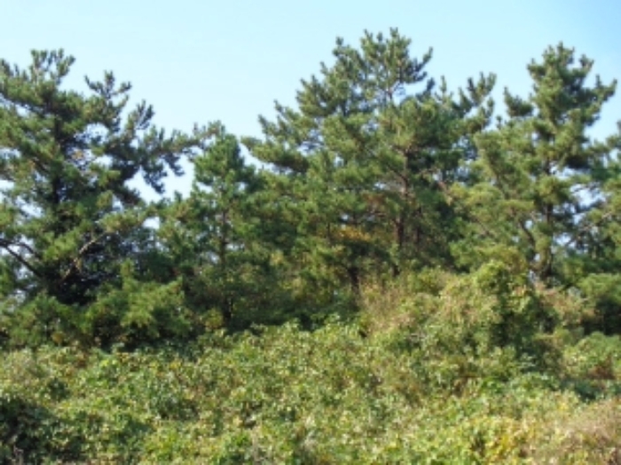 경매 물건 사진