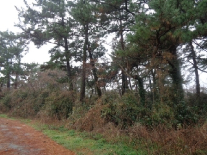 경매 물건 사진