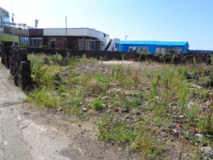 제주 구좌읍 토지 …