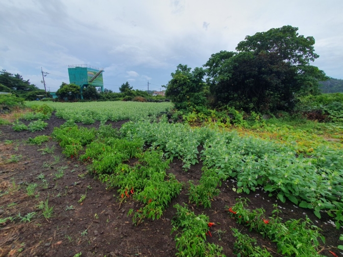 경매 물건 상세 사진