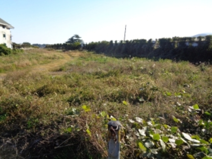 경매 물건 상세 사진