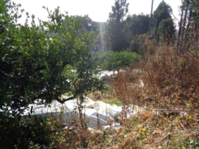 경매 물건 사진