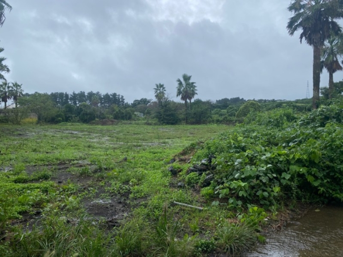 경매 물건 상세 사진
