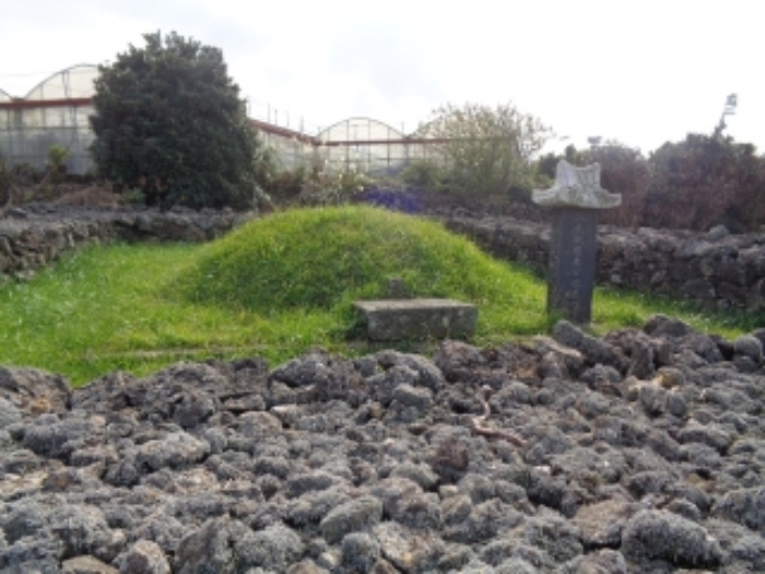 제주 연동 토지 경…