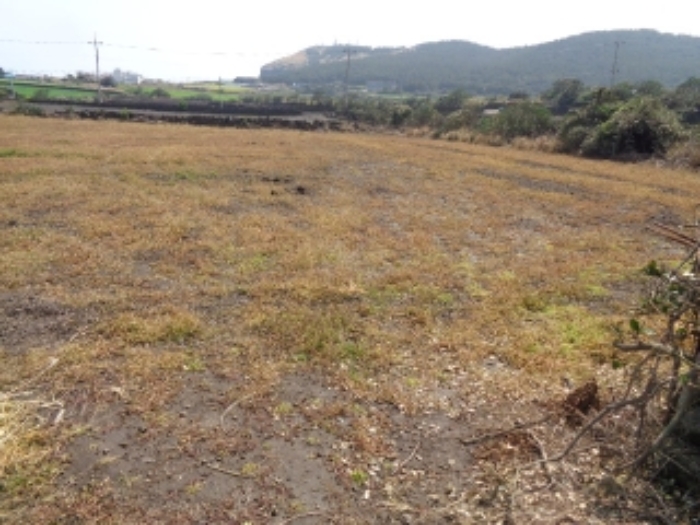 경매 물건 사진