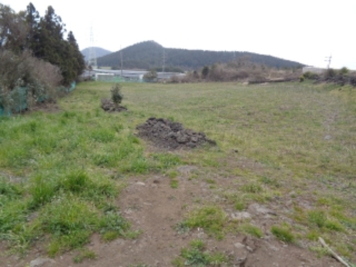 경매 물건 사진