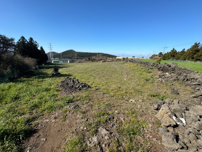 경매 물건 상세 사진