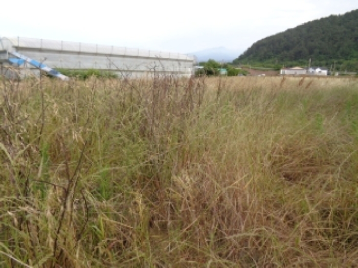 애월 구엄리 토지 …