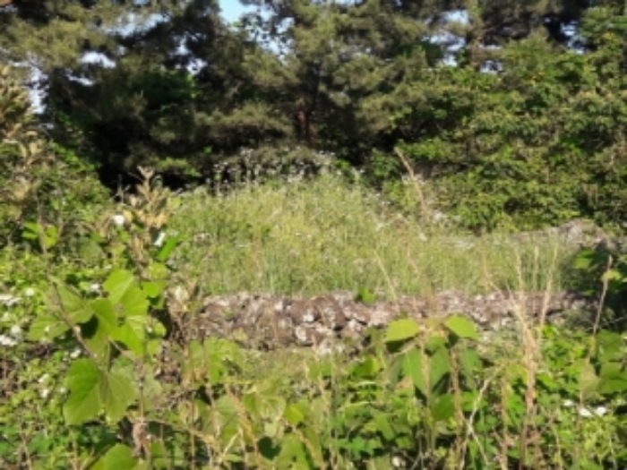 경매 물건 사진