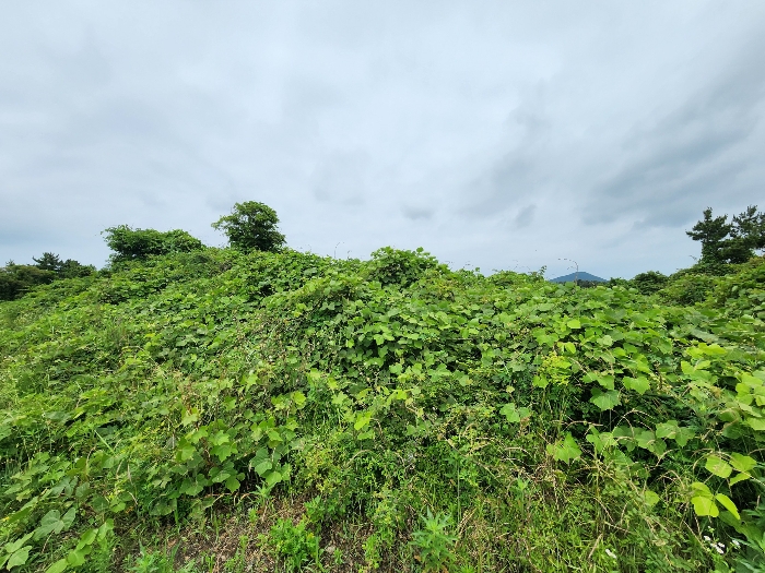 경매 물건 상세 사진