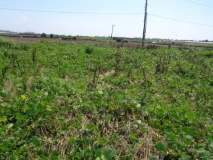 경매 물건 사진