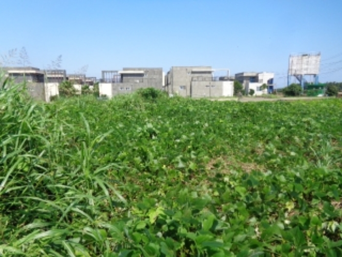 경매 물건 상세 사진