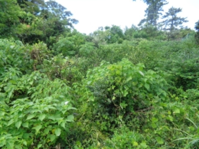 경매 물건 사진