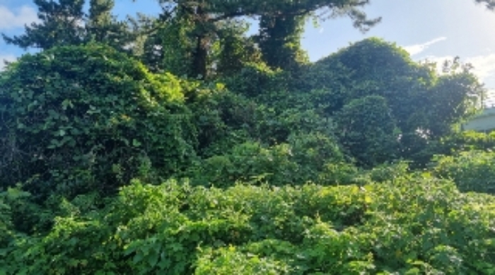 경매 물건 사진