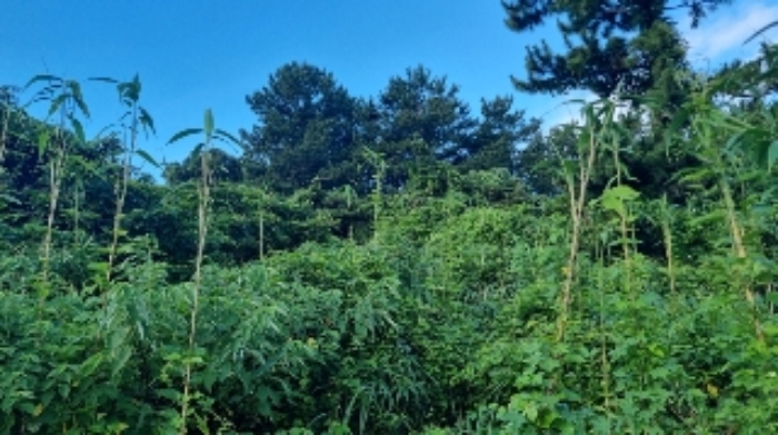 경매 물건 상세 사진