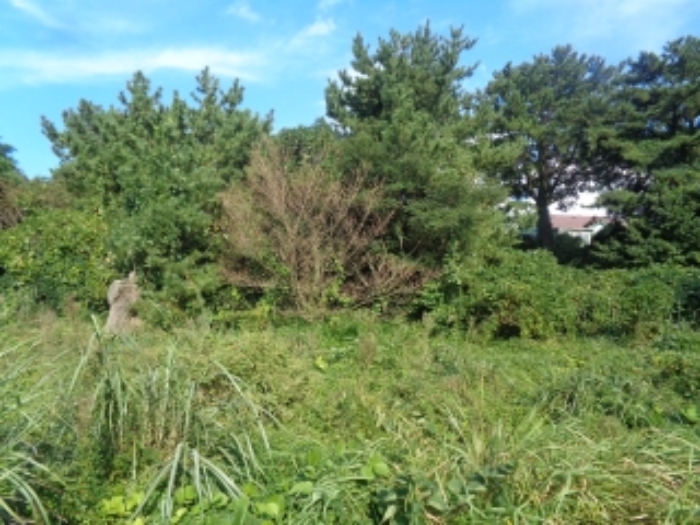 애월 유수암리 토지…