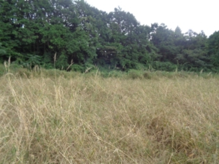 한림읍 금악리 토지…