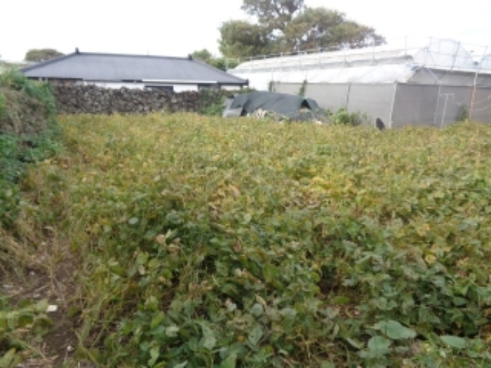 경매 물건 사진