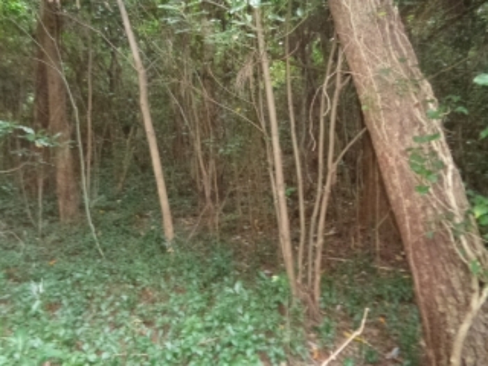 경매 물건 상세 사진