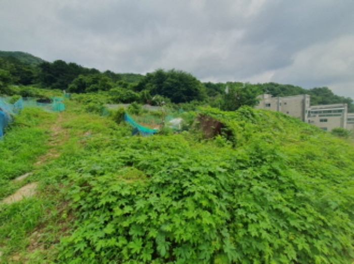 경매 물건 사진
