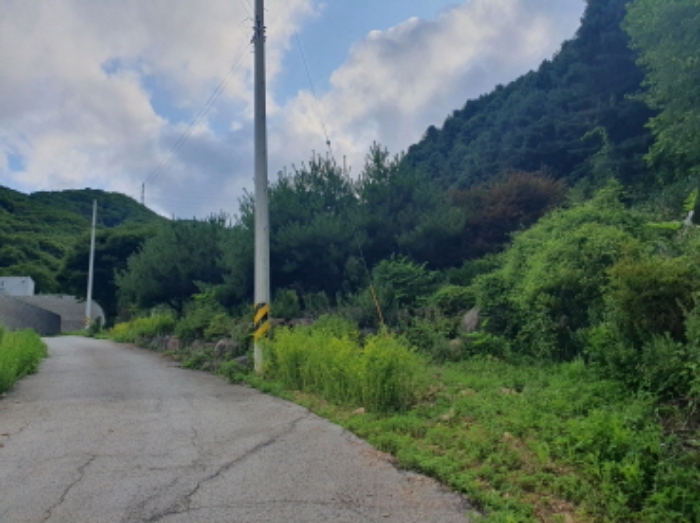 경매 물건 사진