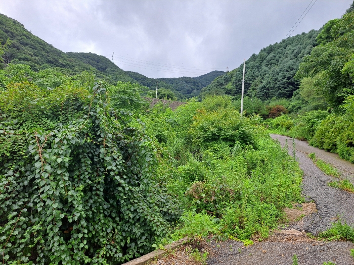 경매 물건 상세 사진